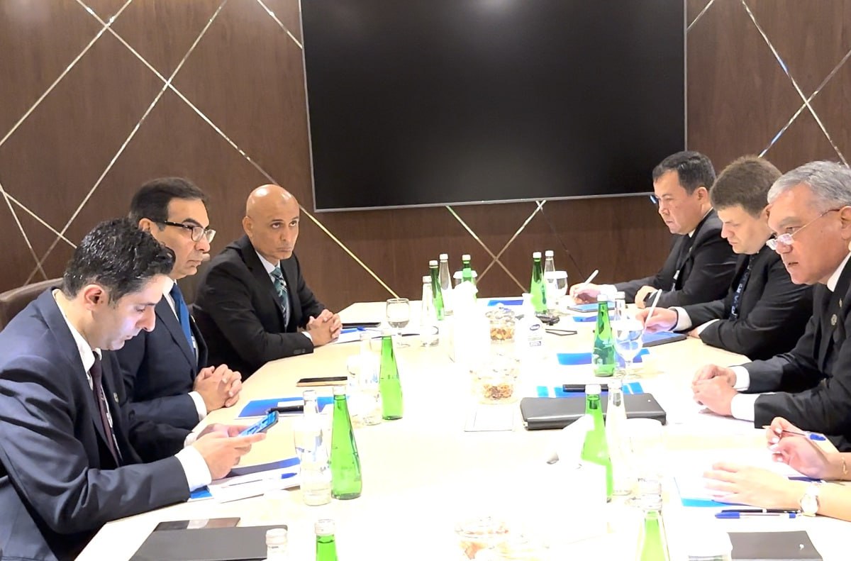 Туркменская делегация провела встречу с министром энергетики Пакистана
