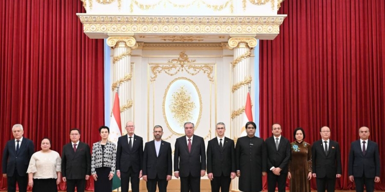 Президент Таджикистана принял верительные грамоты от новых послов ряда зарубежных стран