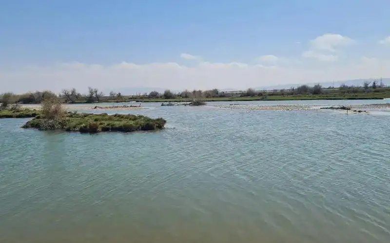 Казахстан ведет работу по подписанию соглашений с Узбекистаном и Китаем по распределению воды