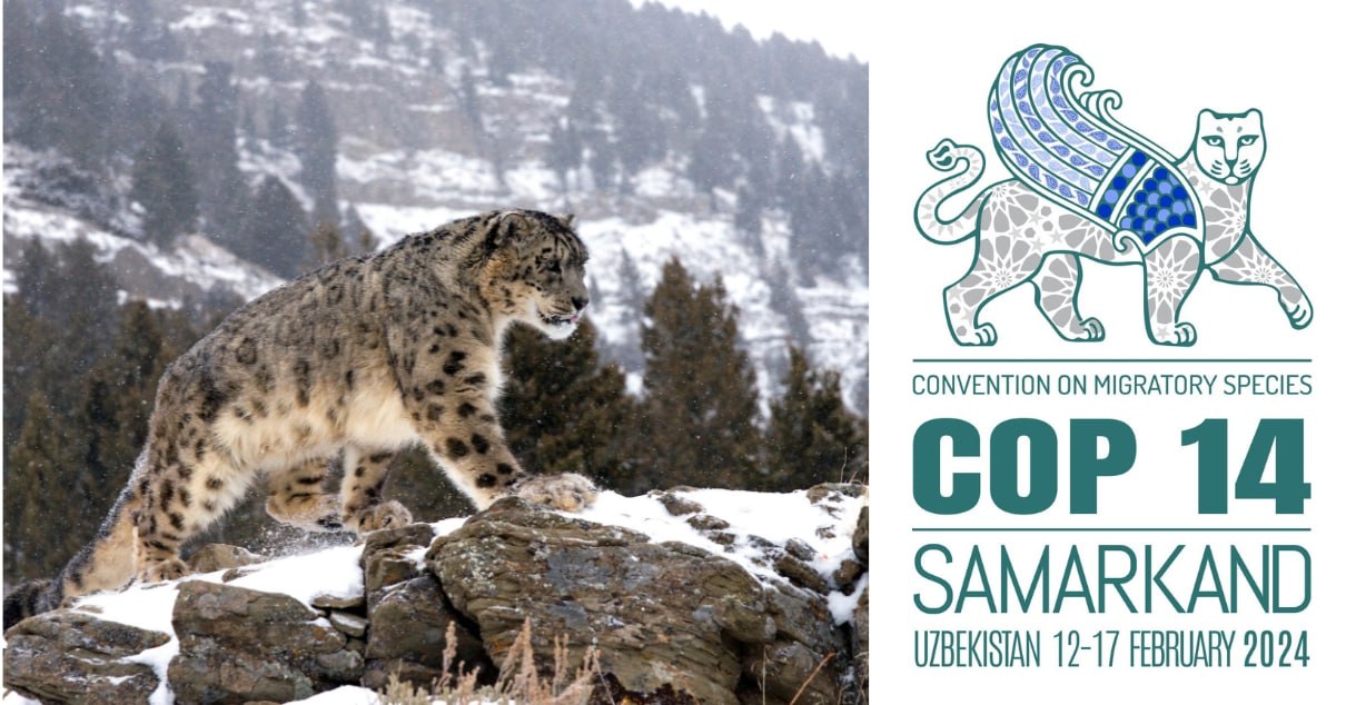 В Узбекистане впервые пройдет Конференция ООН по сохранению мигрирующих видов диких животных