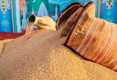 В Туркменистане растёт производство зерновых культур