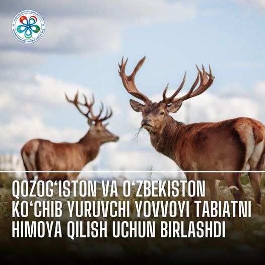Kazakhstan and Uzbekistan Unite to Protect Migratory Wildlife